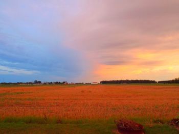 Scenic view of field against cloudy sky