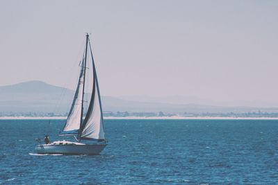 Sailboat sailing in sea