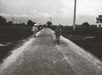 People walking on road against sky