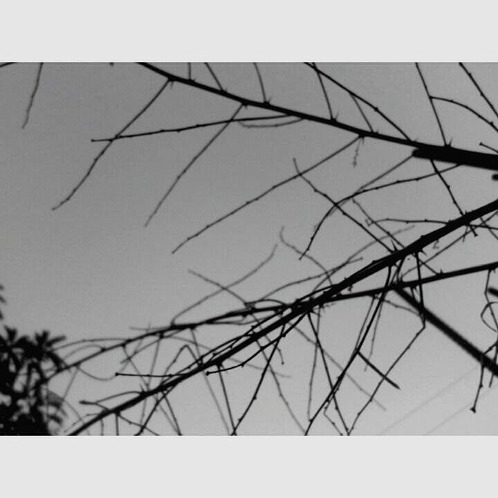 low angle view, clear sky, transfer print, power line, auto post production filter, electricity pylon, built structure, connection, architecture, day, power supply, outdoors, sky, building exterior, fuel and power generation, no people, cable, complexity, electricity, close-up