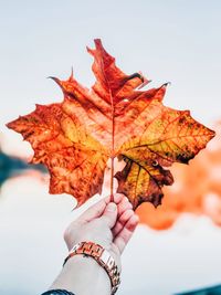 Cropped hand of man holding autumn leaf against lake