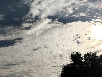 Low angle view of tree against cloudy sky