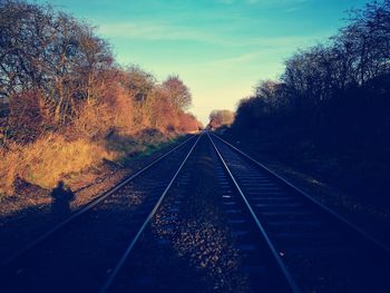 Railroad tracks amidst trees against sky