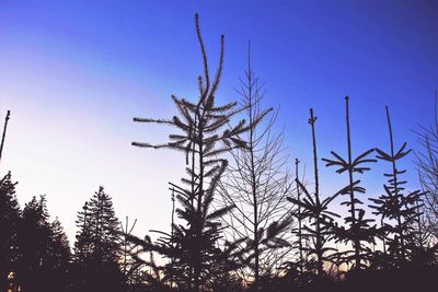 Low angle view of silhouette trees against clear blue sky