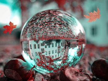 Close-up of crystal ball on glass against trees