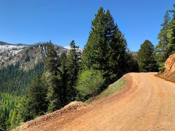 Road amidst trees against clear blue sky