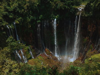Scenic view of waterfall in forest