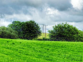 Scenic view of grassy field against cloudy sky