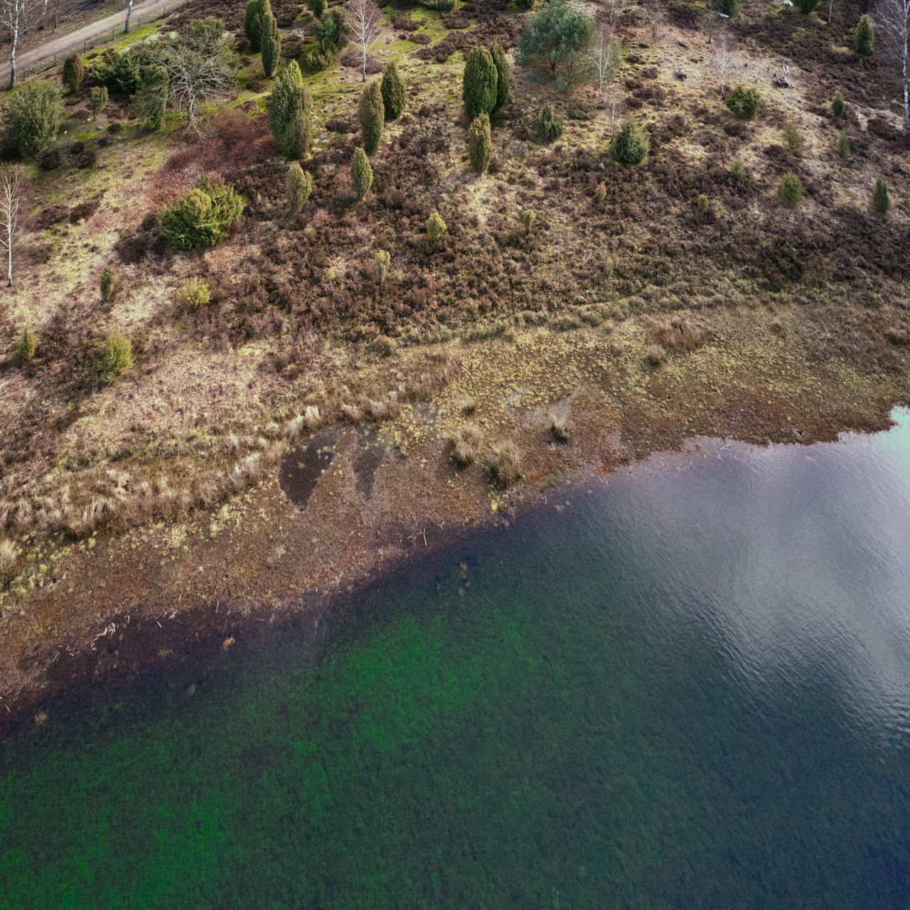 HIGH ANGLE VIEW OF LAND