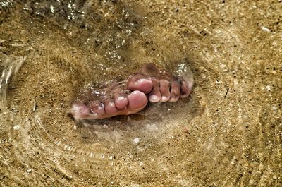 Low section of man relaxing on wet sand