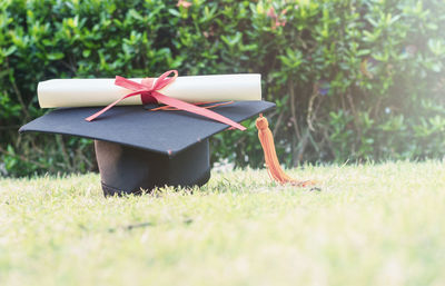 Close-up of mortarboard and diploma on grassy field