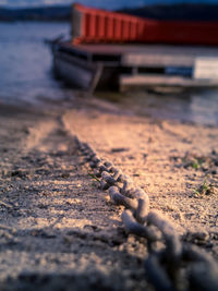 Close-up of wood on shore