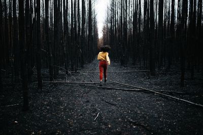 Full length rear view of man standing in forest