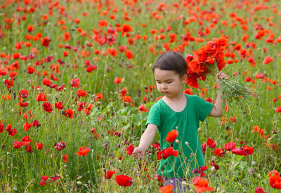 Low angle view of girl with red poppy flowers on field