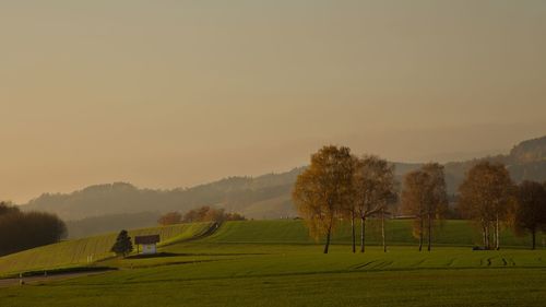 Scenic view of field against sky during sunset