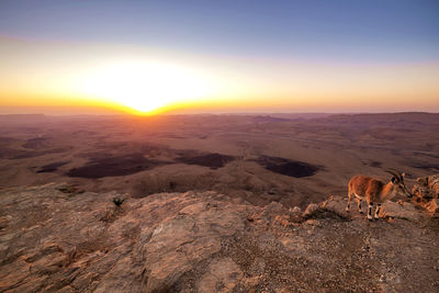 Aerial view of landscape during sunset