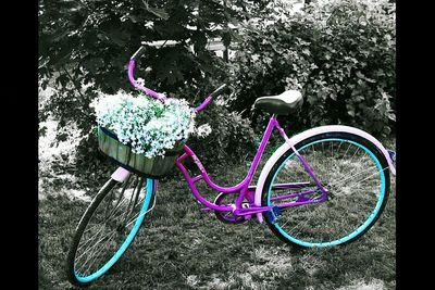 Cars parked in front of wall