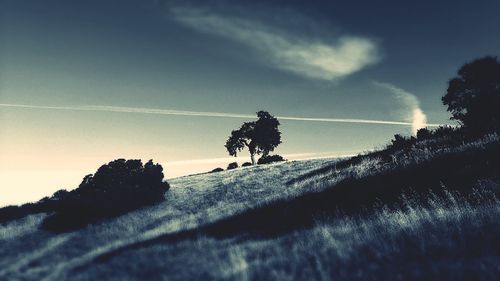 Scenic view of landscape against cloudy sky