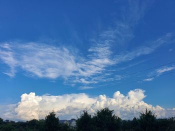 Low angle view of trees against blue sky