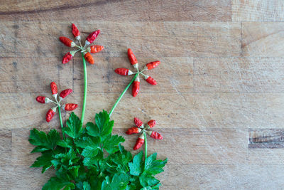 High angle view of red berries on table