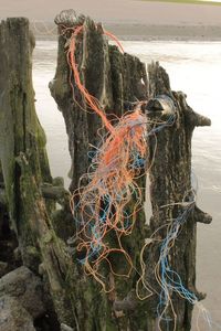 Close-up of fishing net by sea against sky