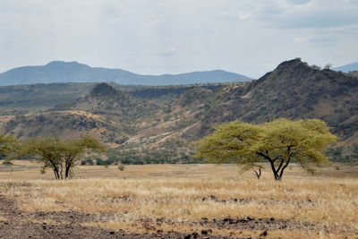 Scenic view of landscape against sky