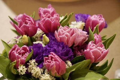 Close-up of pink flowering plant