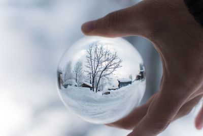 Cropped hand holding crystal ball with reflection during winter