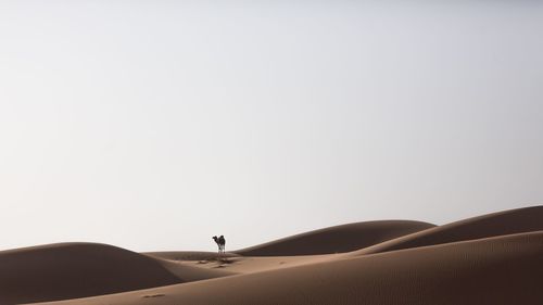 Scenic view of desert against clear sky