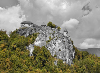 Low angle view of trees on mountain against sky