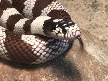 Low section of man legs