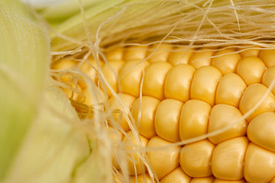 Full frame shot of corn