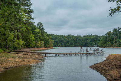 Scenic view of river against sky