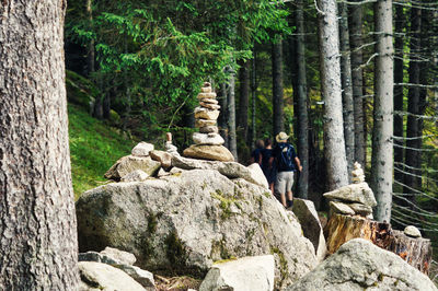 Rear view of rocks and trees in forest