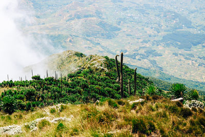 Mountain landscapes at mountain muhabura in the mgahinga gorilla national park, virungas, uganda