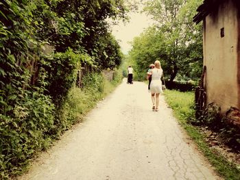 Rear view of women walking on road amidst trees