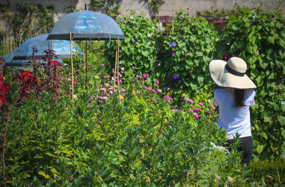 Rear view of woman with pink flowers on field