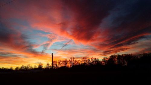 Silhouette trees on field against sky at sunset