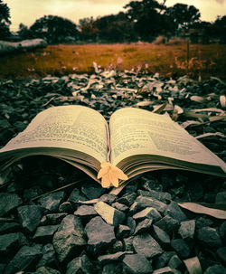 Close-up of open book on field