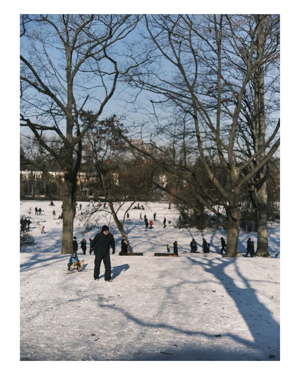 bare tree, tree, winter, nature, snow, transfer print, cold temperature, auto post production filter, day, plant, group of people, architecture, men, city, walking, sunlight, lifestyles, women, outdoors, leisure activity, shadow, sky, built structure, adult, building exterior, full length, clear sky, branch