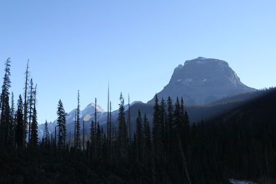 Panoramic view of landscape against clear sky