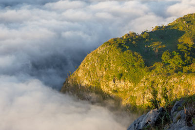 Scenic view of tree mountain against sky