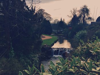 River amidst trees against sky