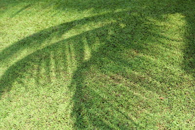 High angle view of grass on field