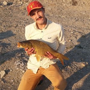 High angle view of man holding fish