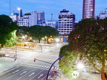 Trees by illuminated city against sky