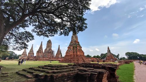 Rear view of man standing on field against sky
