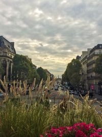 View of plants against cloudy sky