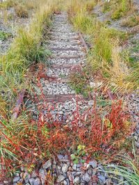 High angle view of stones on footpath