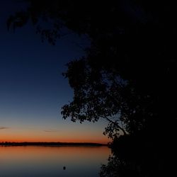 Silhouette tree by lake against sky at night